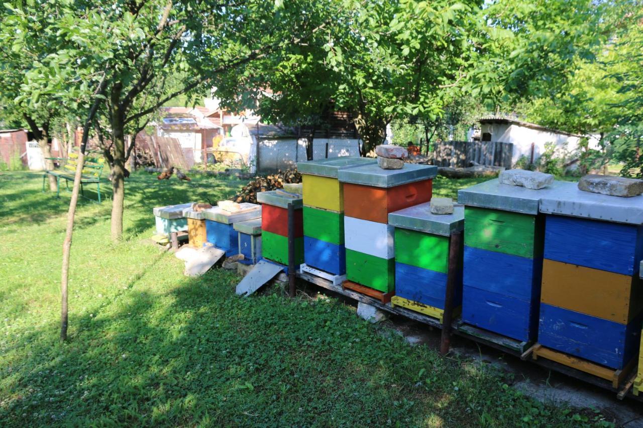 Apartman Rudnik Vrdnik Zewnętrze zdjęcie